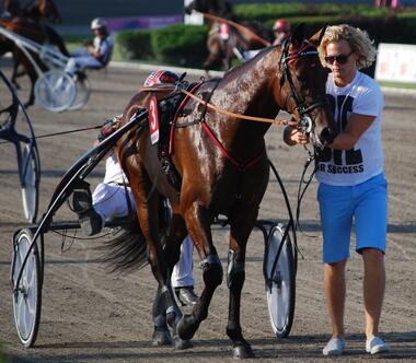 Checkriss bei Flashback