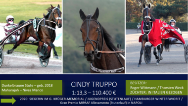 Cindy Truppo Cindy Truppo