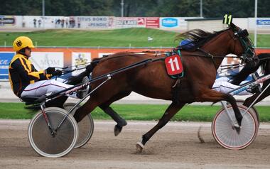 Constantin Gentz bei der Amateur-EM