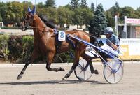 Crazy and Quick Crazy and Quick