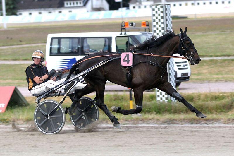 csm_In_Motion_Dion_Tesselaar_HH_2023-06-22_us__2__8cce91e2af