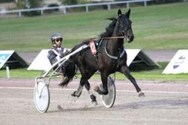 csm_Major_Ass_Siemon_Siebert_aa0a08c4a3 csm_Major_Ass_Siemon_Siebert_aa0a08c4a3