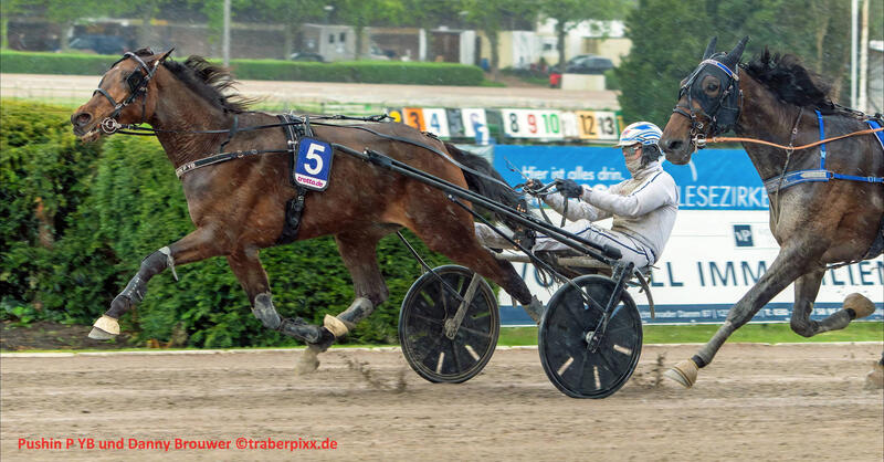 Danny Brouwer und Pushin P YB