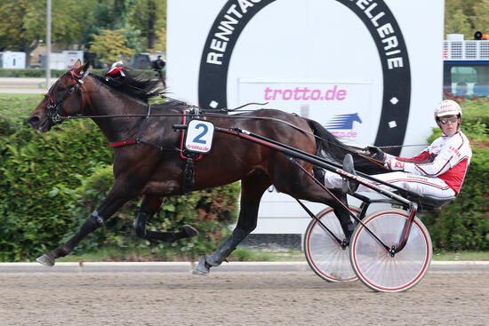 Derby Wild West Diamant Derby Wild West Diamant