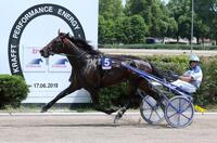 Desert King Desert King