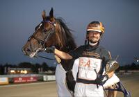 Desert King Desert King