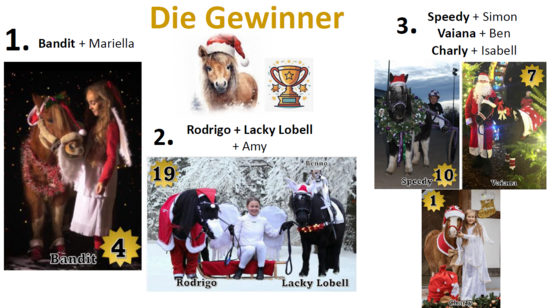 Die Gewinner