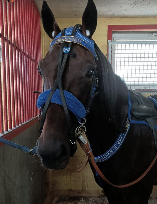 django