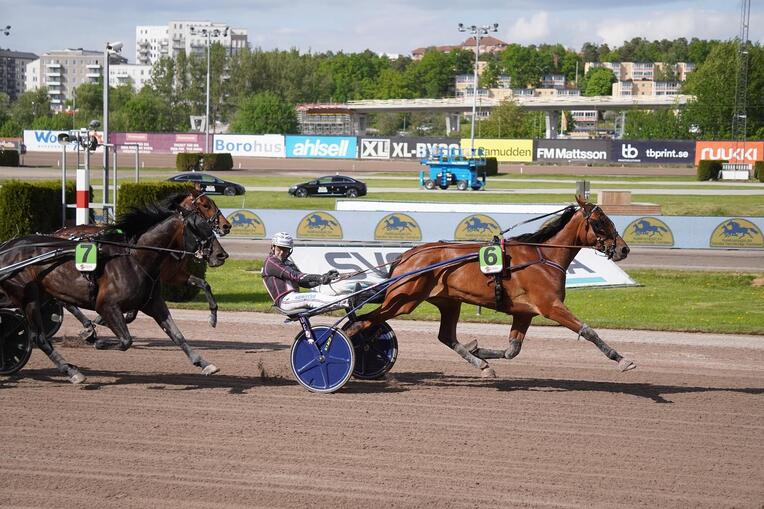 Domino Time Trot