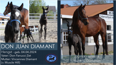 Don Juan Diamant