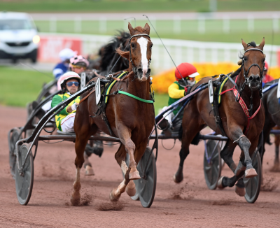 Dorgos-de-GUez-Enghien