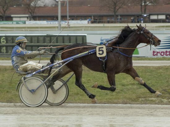 Dream of Action_AA061220Fabris Dream of Action_AA061220Fabris