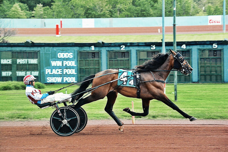 dsc6178aformike0513race4smallartikelbild-1280