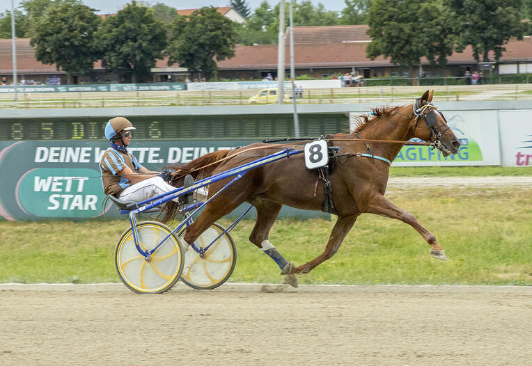 Eckmuhl Jack_ZZ060725F