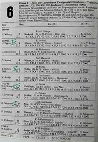 Elberus im Trabreiten Elberus im Trabreiten