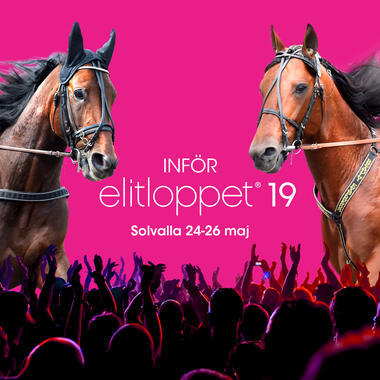 Elitloppet-19_large