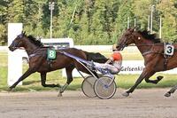 Emilion GE Emilion GE