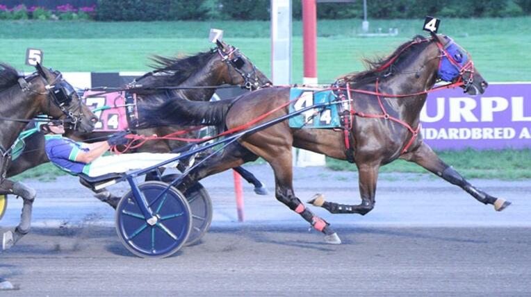 Endurance-Lisa-Photo