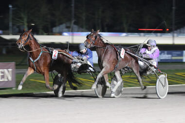 Falco (Hans Sinnige) gewinnt den Winterpokal der Amateure