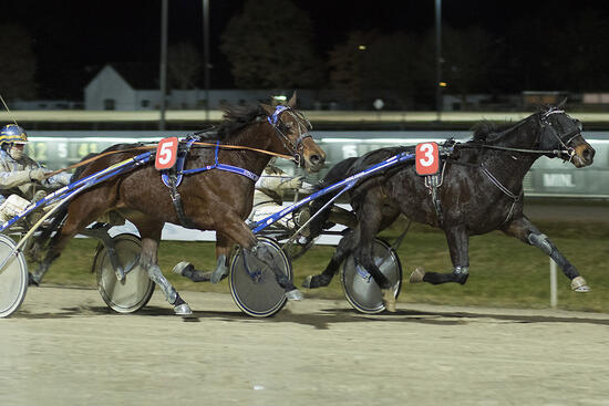 Far West_A131220Fabris