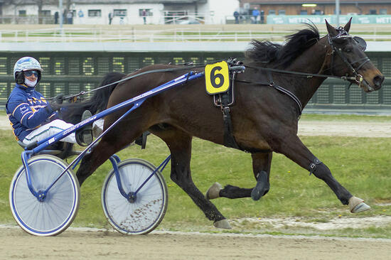 Far West_AA180421Fabris Far West_AA180421Fabris