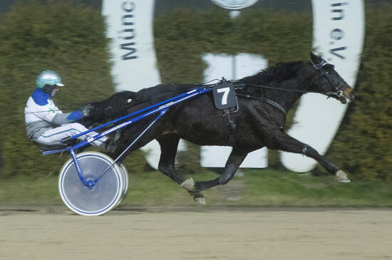 Far West_AZ261120Fabris Far West_AZ261120Fabris