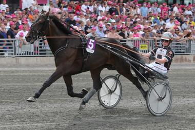 Fiobano in Solvalla