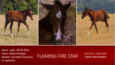 Flaming Fire Star
