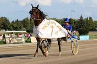 Flying Fortuna Flying Fortuna