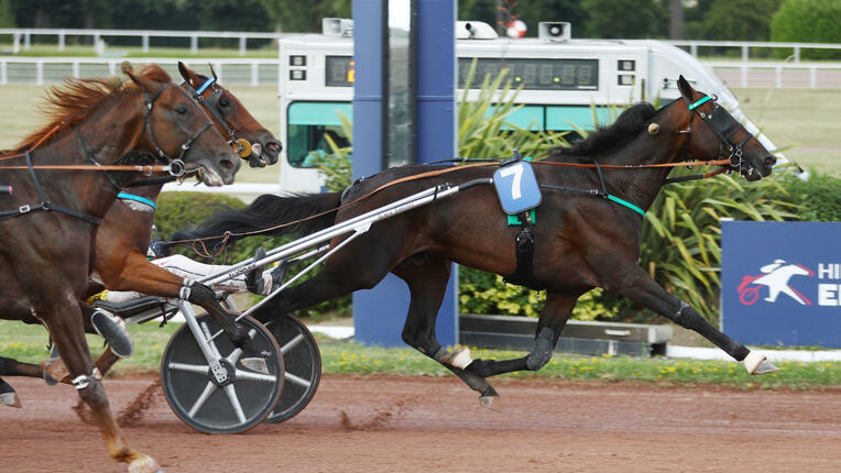 frank-gio-190725-687bccedd3f00176585139