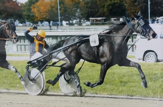 fullsizeoutput_10 fullsizeoutput_10