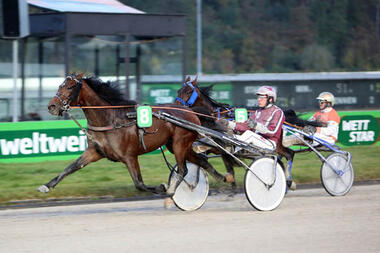 Ganyboy gewinnt den Preis des Winterfavoriten