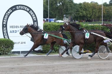 Gazell Transs R siegt im Vorlauf zum Stuten-Derby