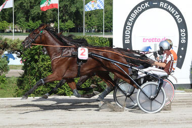 Geronimo T gewinnt das Buddenbrock-Rennen (Hengste/Wallache)