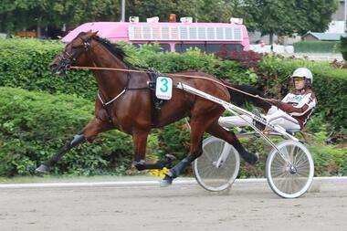 Geronimo T gewinnt den Derbyvorlauf