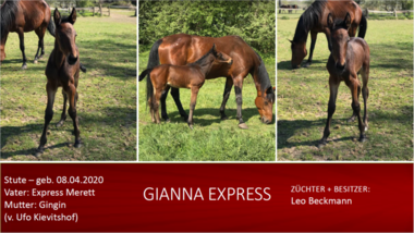 Gianna-Express