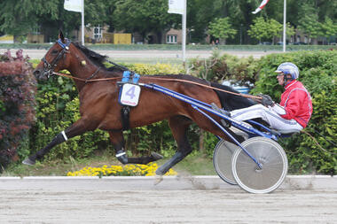 Gilda Newport gewinnt das Buddenbrock-Rennen (Stuten)