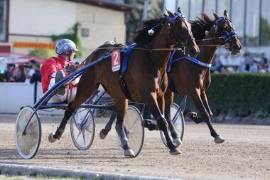 Gilda Newport gewinnt das Stutenderby