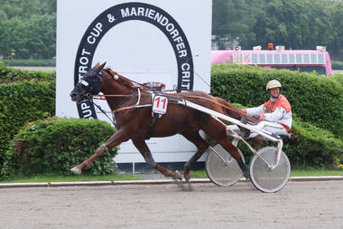 Ginger Heldia siegt im Vorlauf zum Super Trot Cup 2017