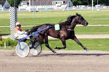 Good Girl AS im Walter Heitmann-Memorial