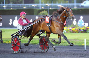 gotland_kalmia_ok