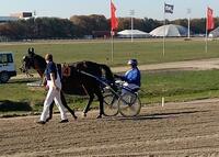 Great Gatsby As Great Gatsby As