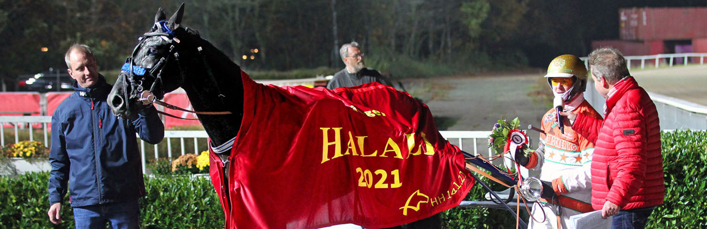 Halali Halali