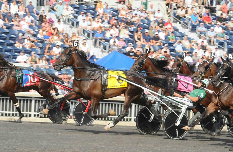 Hambo start