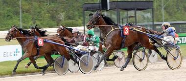 Hazel Newport gewinnt Trial 2 zum Adbell Toddington-Rennen