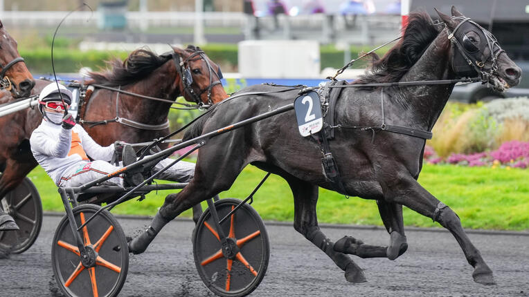 heandme-aprh-une-260222-699b4fdada447036193564