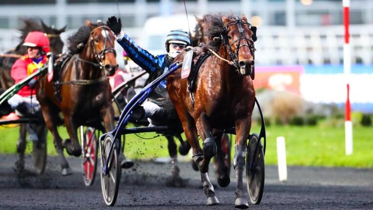 hippisme_cheval_turf_idao_de_tillard_65b679e92a879