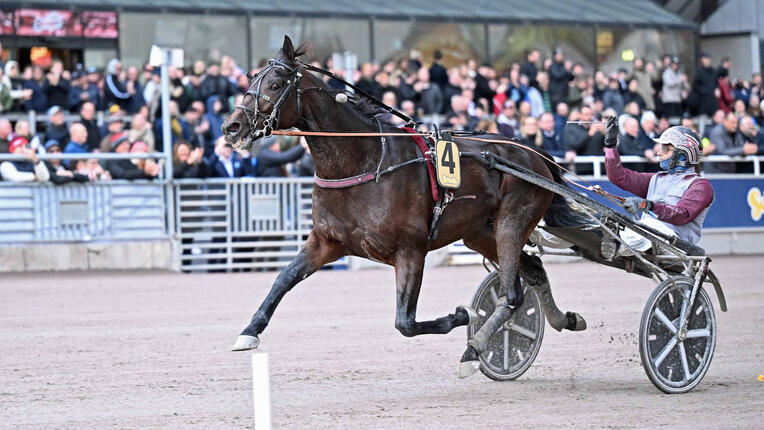 hohneck-elite-circuit1410-652ade33e4058723931393