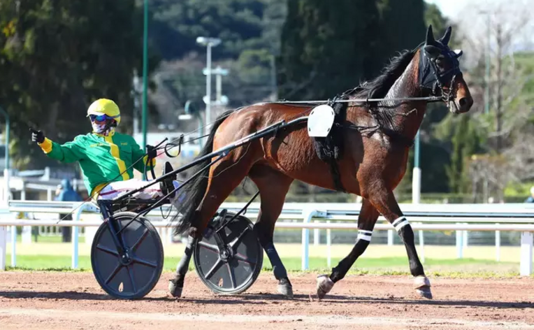 Hooper des Chasses Equidia