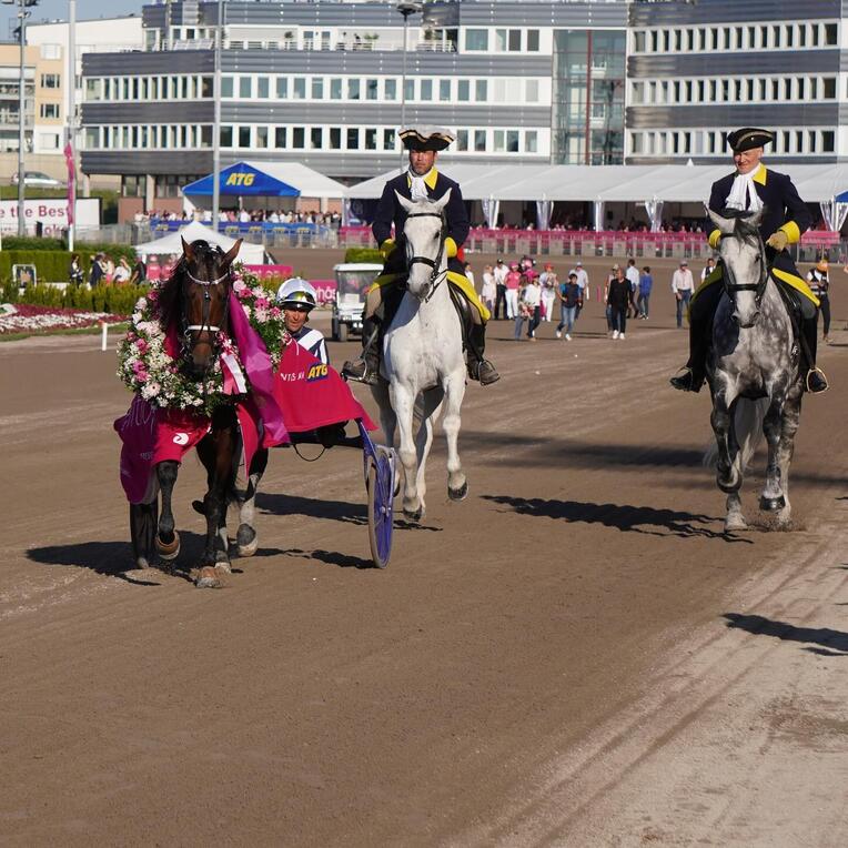 Horsy EL 3
